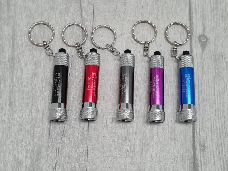 FPWR UK Mini Torch Keyring - Image 2